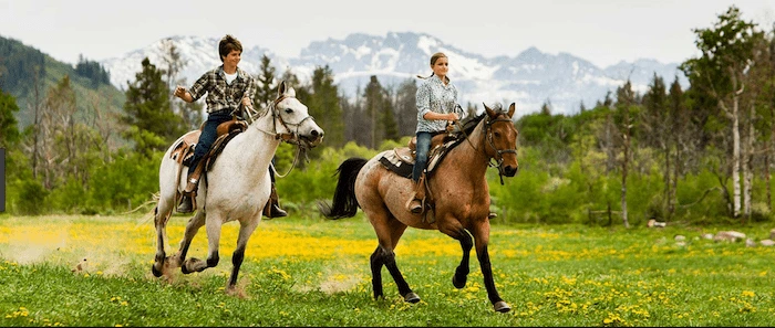 Confident plus-size woman riding Doncaster a horse through a field with a smile on her face.